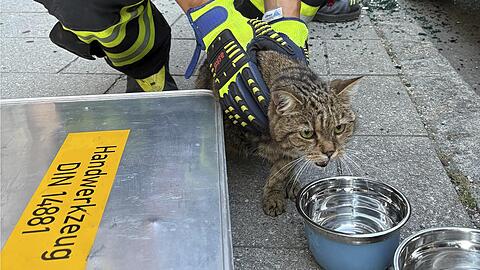 Foto Feuerwehr M&uuml;nchen