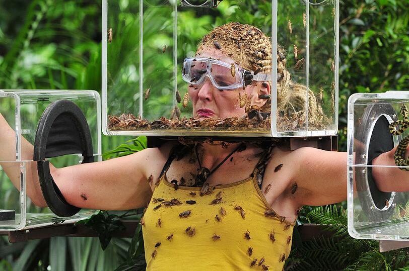 Jenny und Helena Fürst treffen sich zu einem Dschungel-Brettspiel. Je nach Würfelglück bekommen sie Besuch von Huntsman-Spinnen, Schlammkrabben, Grillen, Pythons, Wüstenskorpionen, Kakerlaken oder Ratten.