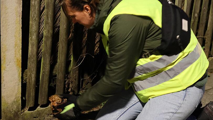 Abgesetzt werden die Tiere auf der anderen Straßenseite vor den Gartenzäunen. Denn dahinter wartet der langersehnte Gartenteich. Abgesetzt werden die Tiere auf der anderen Straßenseite vor den Gartenzäunen. Denn dahinter wartet der langersehnte Gartenteich.