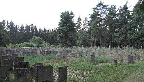 Der jüdische Friedhof in Bechhofen. Der jüdische Friedhof in Bechhofen.