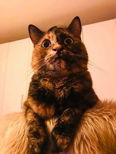 Luba