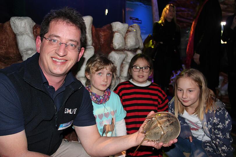 Jens Bohn, der technisch biologische Leiter im Sea Life, zeigt den Grundschülerinnen Sina (v. l.), Acelya und Morana aus der 3g der Lehrer-Wirth-Schule einen prähistorischen Pfeilschwanzkrebs.