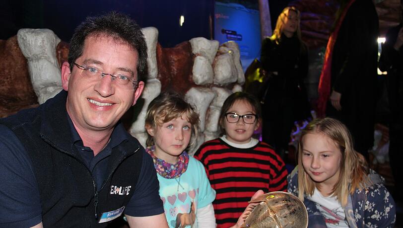 Jens Bohn, der technisch biologische Leiter im Sea Life, zeigt den Grundschülerinnen Sina (v. l.), Acelya und Morana aus der 3g der Lehrer-Wirth-Schule einen prähistorischen Pfeilschwanzkrebs. Jens Bohn, der technisch biologische Leiter im Sea Life, zeigt den Grundschülerinnen Sina (v. l.), Acelya und Morana aus der 3g der Lehrer-Wirth-Schule einen prähistorischen Pfeilschwanzkrebs.