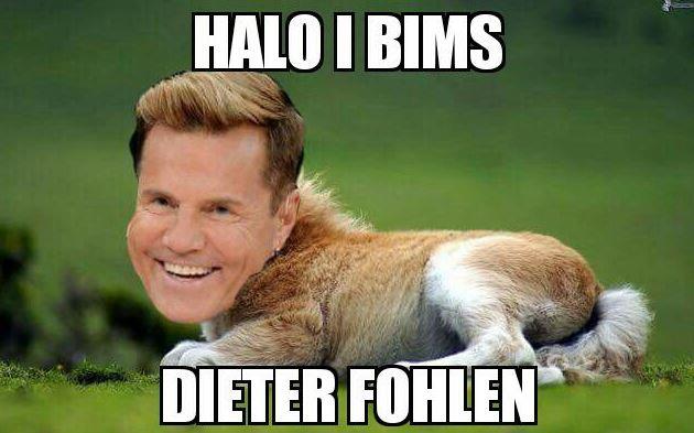 Dieter Fohlen