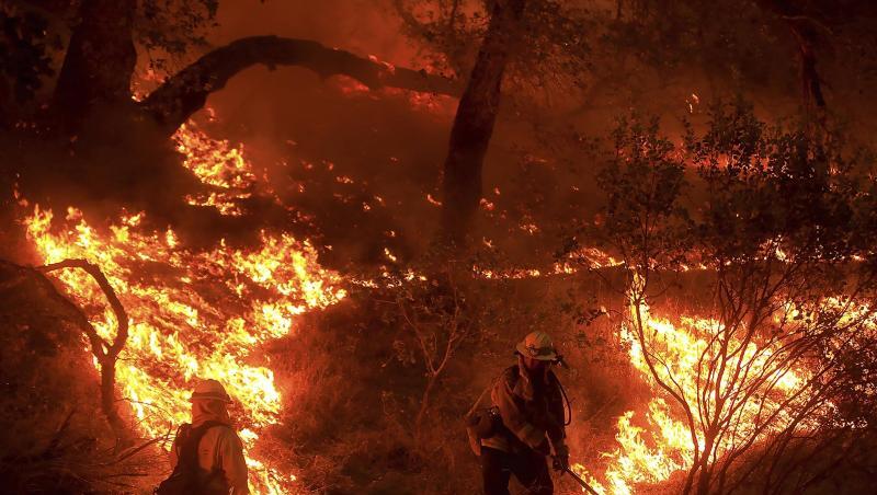 Hohe Temperaturen und Trockenheit an der US-Westküste erschweren den Kampf gegen die Flammen. Hohe Temperaturen und Trockenheit an der US-Westküste erschweren den Kampf gegen die Flammen.