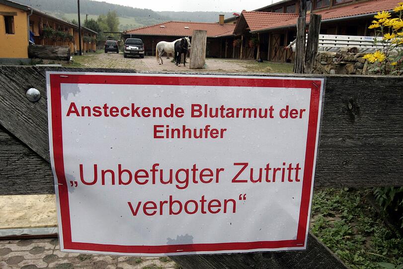 Immer wieder müssen in Deutschland Höfe wegen der Pferdeseuche geschlossen werden.