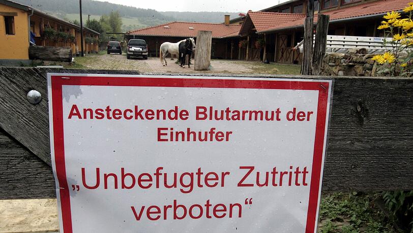 Immer wieder müssen in Deutschland Höfe wegen der Pferdeseuche geschlossen werden. Immer wieder müssen in Deutschland Höfe wegen der Pferdeseuche geschlossen werden.