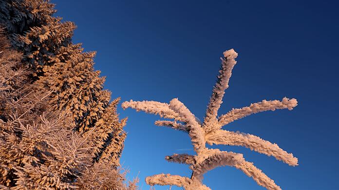Frost und gebietsweise Neuschnee erwartet der DWD auch in der Nacht auf Sonntag. (Archivbild)