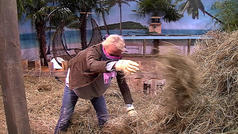 Die arme Jenny ist allergisch. Tapfer opfert sie sich aber für die Gruppe auf und sucht mit.