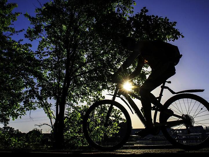 Eine Person fährt mit einem Rad in der Natur. Foto: Paul Zinken/Archiv
