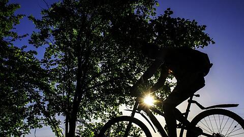 Eine Person fährt mit einem Rad in der Natur. Foto: Paul Zinken/Archiv