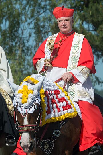Die Prozession mit rund 900 Reitern zählt zu den ältesten bayerischen Brauchtumsveranstaltungen. Bei dem Bittgang im Sattel von prächtig geschmückten Pferden pilgern die "Mannerleut" von Kötzting zur rund sieben Kilometer entfernten Nikolauskirche in Steinbühl. Die Bilder!