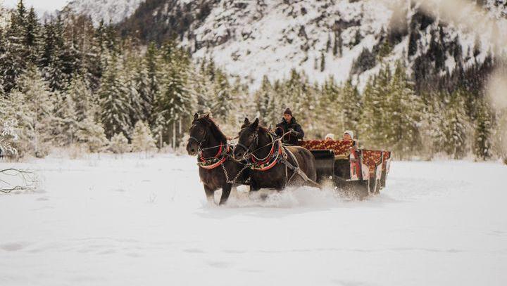 Auch romantisch: Kutschfahrten am Toblacher See. Auch romantisch: Kutschfahrten am Toblacher See.