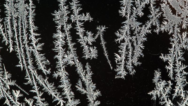 Frost an einer Scheibe. Foto: Sebastian Gollnow Frost an einer Scheibe. Foto: Sebastian Gollnow