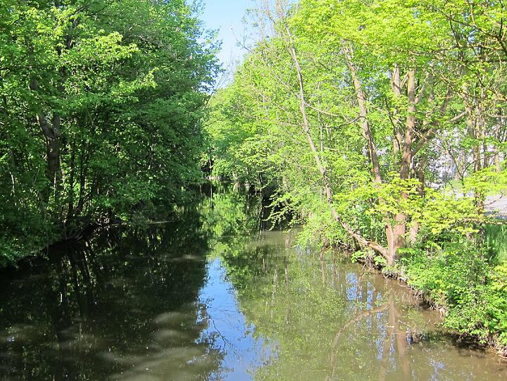 Auch am Würmkanal müssen Baumpfleger ans Werk, so sieht er kurz vor Schloss Schleißheim aus.