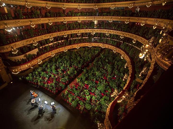 Musiker proben im Gran Teatre del Liceu in Barcelona, wobei alle 2 292 Sitzplätze mit Pflanzen besetzt sind.