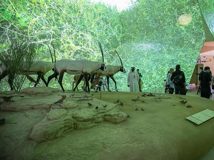 Im neuen Nationalmuseum von Katar wird die Geschichte des Emirats erzählt.