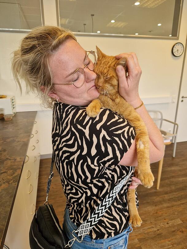 Katrin Kellner hatte die Hoffnung fast schon aufgegeben. Doch nach acht Jahren ist ihr roter Kater Timmy wieder nach Hause gekommen.Foto: Katrin Kellner Katrin Kellner hatte die Hoffnung fast schon aufgegeben. Doch nach acht Jahren ist ihr roter Kater Timmy wieder nach Hause gekommen.Foto: Katrin Kellner