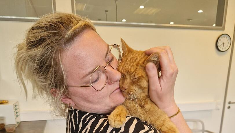 Katrin Kellner hatte die Hoffnung fast schon aufgegeben. Doch nach acht Jahren ist ihr roter Kater Timmy wieder nach Hause gekommen.Foto: Katrin Kellner Katrin Kellner hatte die Hoffnung fast schon aufgegeben. Doch nach acht Jahren ist ihr roter Kater Timmy wieder nach Hause gekommen.Foto: Katrin Kellner
