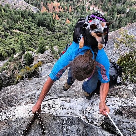 Der US-Extremsportler Dean Potter ist bei einem "Base Jump"-Unfall im Yosemite-Park ums Leben gekommen.