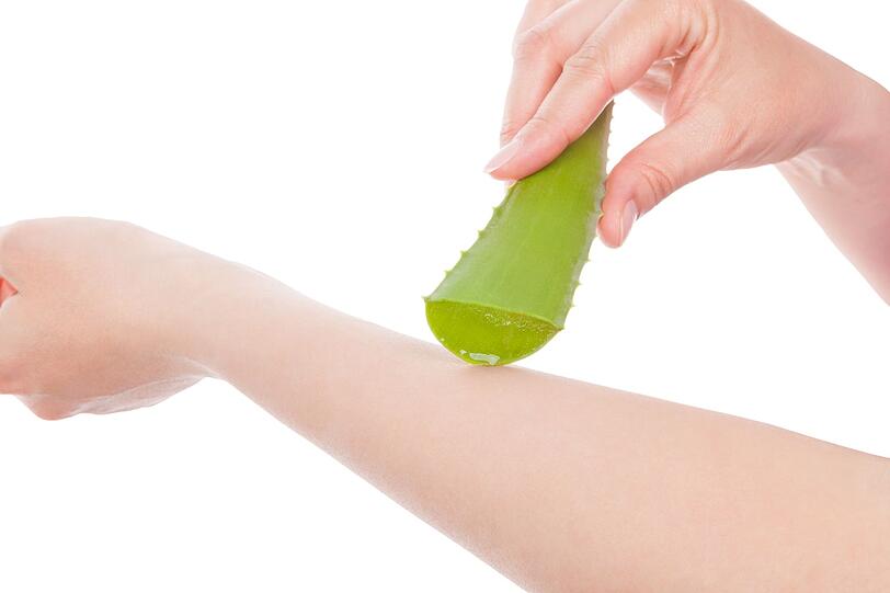 Aloe Vera ist perfekt für die Hautpflege zum Beispiel nach einem Tag am Strand (inklusive Sonnenbrand). Das Gel wirkt kühlend, schmerzlindernd und feuchtigkeitsspendend. Auch bei der Wundheilung kann die Pflanze auf ganz natürliche Weise helfen. Innerlich angewendet, wirkt sie abführend und kann so bei Verstopfung helfen. Aloe Vera ist perfekt für die Hautpflege zum Beispiel nach einem Tag am Strand (inklusive Sonnenbrand). Das Gel wirkt kühlend, schmerzlindernd und feuchtigkeitsspendend. Auch bei der Wundheilung kann die Pflanze auf ganz natürliche Weise helfen. Innerlich angewendet, wirkt sie abführend und kann so bei Verstopfung helfen.