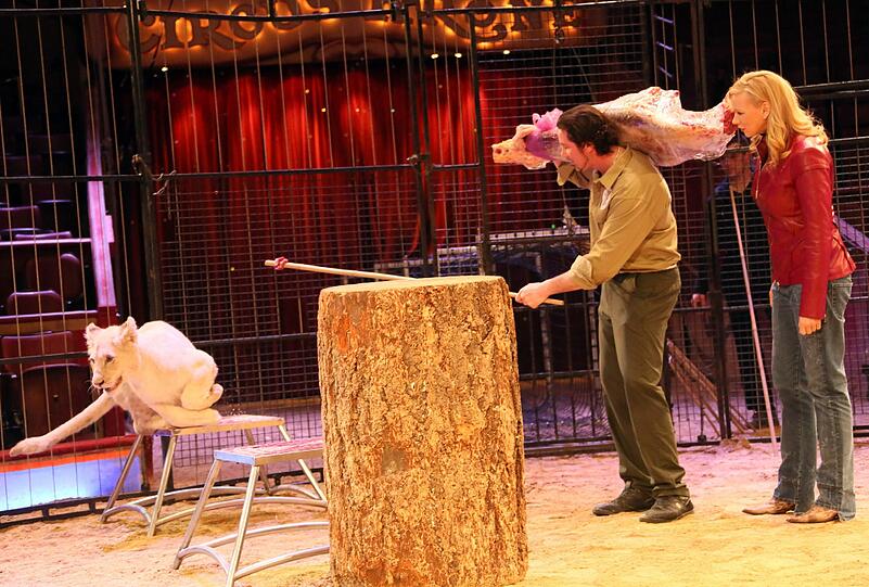 Veronica Ferres tauft Löwenmädchen "Alba" - die Bilder aus dem Circus Krone