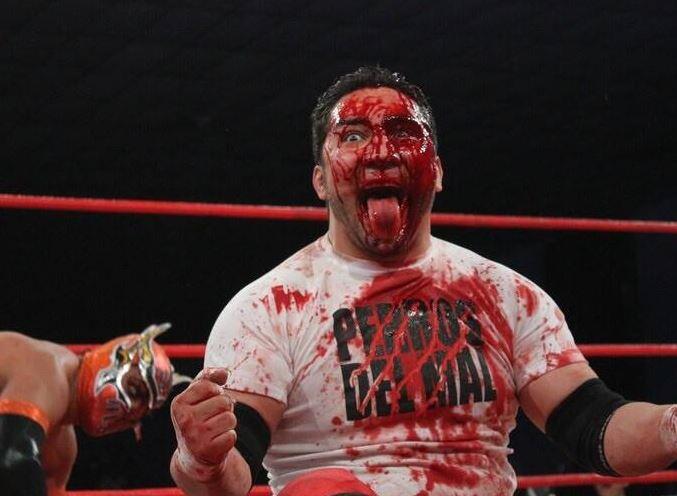 Der Wrestler El Hijo del Perro Aguayo stirbt während eines Kampfes im Ring