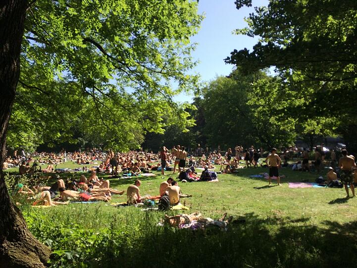 Sonnenbaden nebem Eisbach? Bei diesen Temperaturen perfekt!
