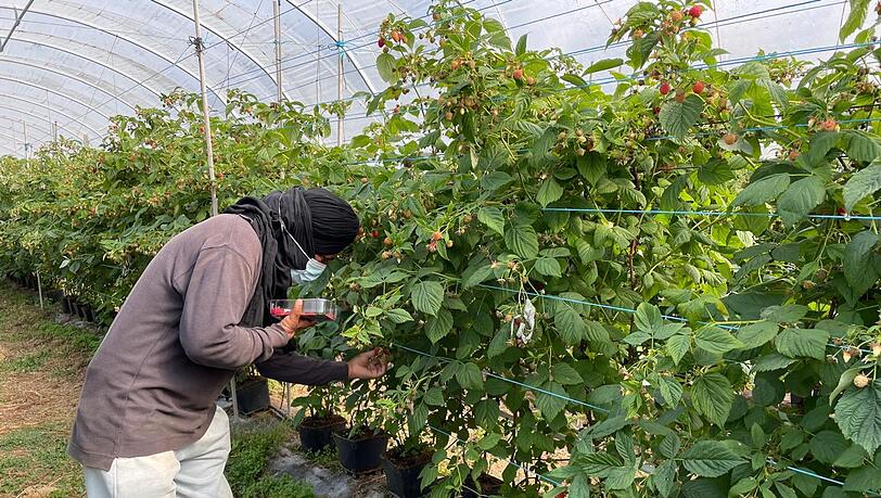 Die befreiten Migranten wurden laut Polizei oft geschlagen.