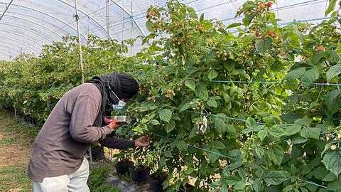 Die befreiten Migranten wurden laut Polizei oft geschlagen.