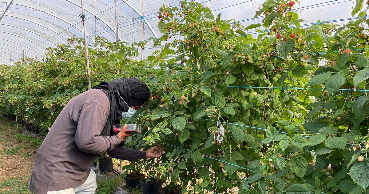 Menschenhandel-in-Portugal-Elf-Polizisten-festgenommen