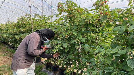 Die befreiten Migranten wurden laut Polizei oft geschlagen.