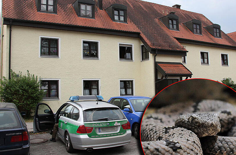 In Waldkraiburg wurde ein Mann vermeintlich von einer Schlange gebissen. Daran gibt es jedoch berechtigte Zweifel. Die Bilder vom Einsatzort.