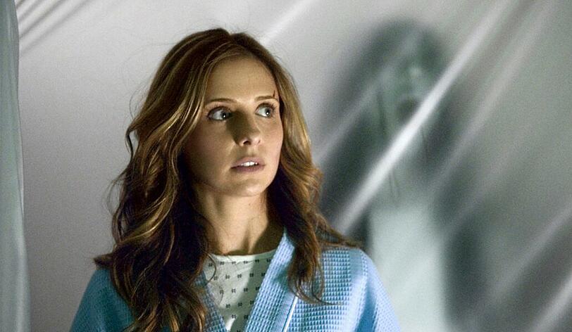 Sarah Michelle Gellar spielte in den ersten beiden Teilen von "Der Fluch - The Grudge" die Krankenschwester Karen.