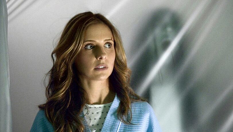Sarah Michelle Gellar spielte in den ersten beiden Teilen von "Der Fluch - The Grudge" die Krankenschwester Karen.
