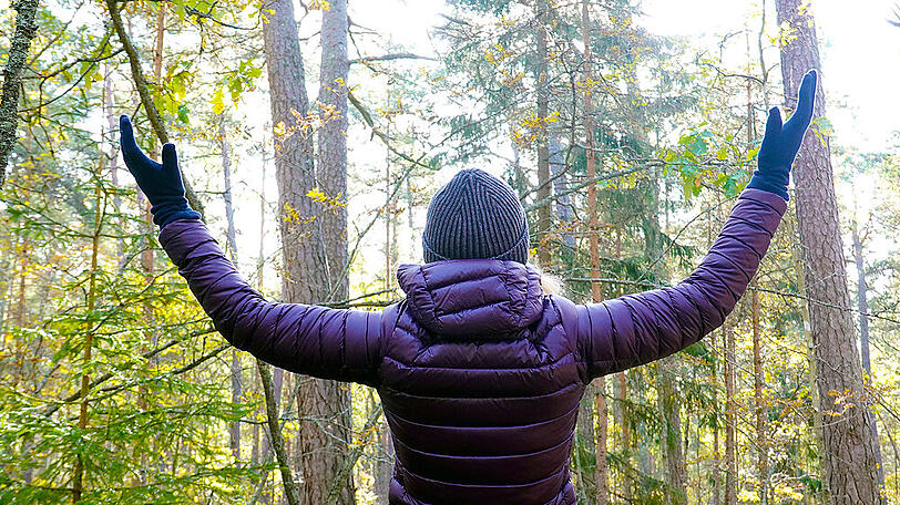 Waldbaden gilt als großer Wellness-Trend.