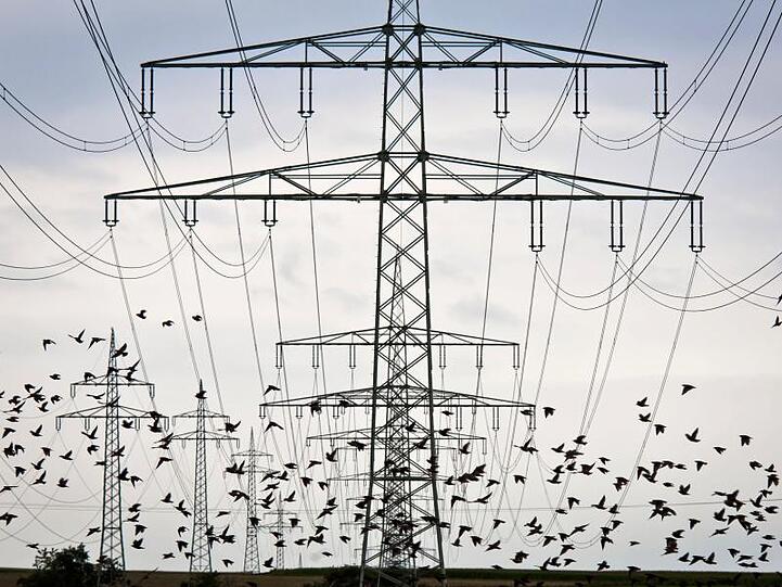 Die Preissteigerung im Euroraum liegt bei moderaten 2,0 Prozent, aber Energie hat sich erneut deutlich verteuert.