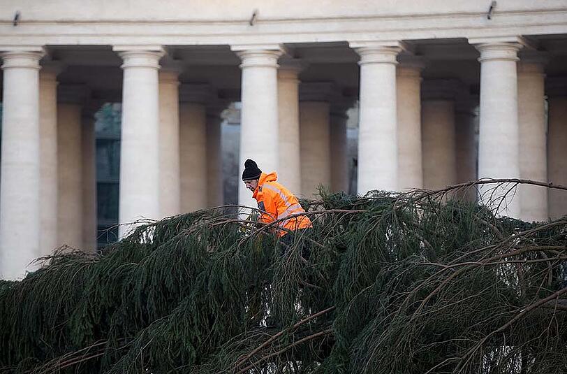 Ein Weihnachtsbaum für den Papst: Die Bilder vom Aufbau der Rottanne am Petersplatz.