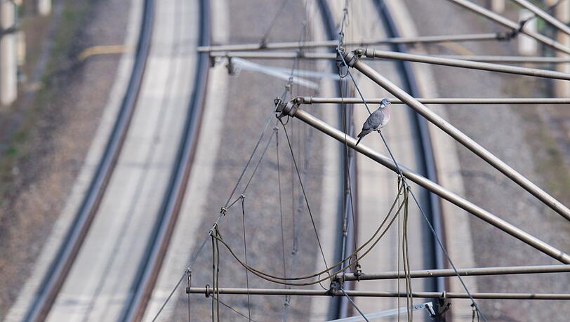 Ein junges Paar ist in Giesing auf dem Vorsprung einer Brücke eingeschlafen, die direkt über Bahngleise führt. (Symbolbild)