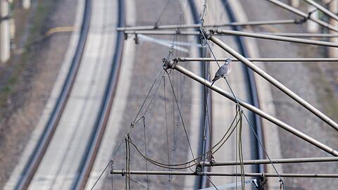 Ein junges Paar ist in Giesing auf dem Vorsprung einer Brücke eingeschlafen, die direkt über Bahngleise führt. (Symbolbild)