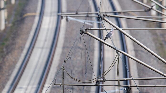Ein junges Paar ist in Giesing auf dem Vorsprung einer Brücke eingeschlafen, die direkt über Bahngleise führt. (Symbolbild)