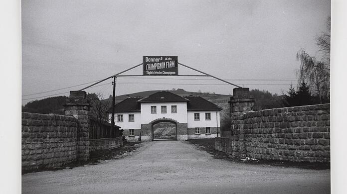 Nach dem Krieg wurde in der unterirdischen Flugzeugfabrik des KZ Gusen, einem Außenlager des KZs Mauthausen, eine Champignonzucht eingerichtet.