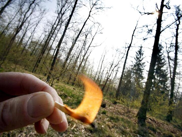 Ein Streichholz brennt in einem trockenen Wald. Foto: Frank Rumpenhorst/Archivbild