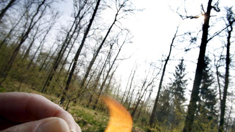 Ein Streichholz brennt in einem trockenen Wald. Foto: Frank Rumpenhorst/Archivbild Ein Streichholz brennt in einem trockenen Wald. Foto: Frank Rumpenhorst/Archivbild