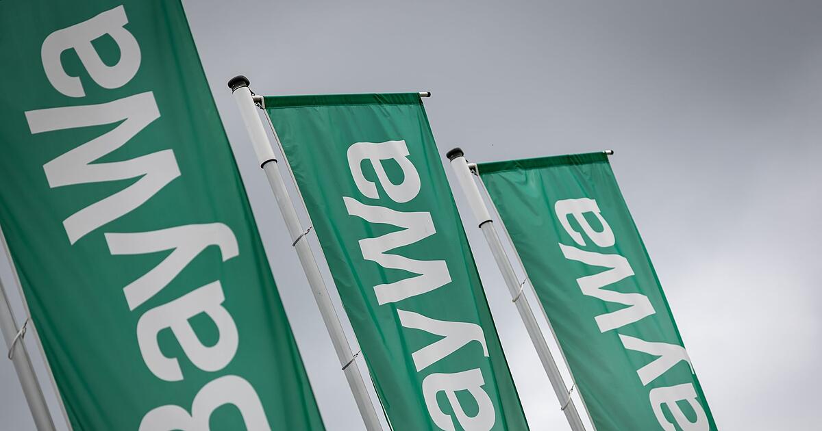 Zahlen-zu-sp-t-gemeldet-Baywa-muss-2500-Euro-zahlen