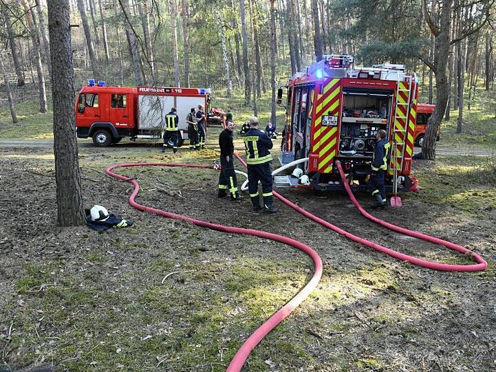 In allen Brandenburger Landkreisen und kreisfreien Städten bis auf die Kreise Uckermark, Barnim und Märkisch-Oderland ist die Waldbrandgefahr hoch.