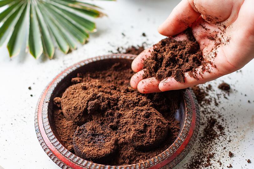 Der Grund dafür ist einfach: Kaffeesatz schimmelt sehr schnell! Lassen Sie das Pulver also zunächst in einem flachen Gefäß trocknen. Anschließend können Sie es bedenkenlos um die Pflanzen streuen oder alternativ mit Wasser verdünnen und die Pflanzen damit gießen. Der Grund dafür ist einfach: Kaffeesatz schimmelt sehr schnell! Lassen Sie das Pulver also zunächst in einem flachen Gefäß trocknen. Anschließend können Sie es bedenkenlos um die Pflanzen streuen oder alternativ mit Wasser verdünnen und die Pflanzen damit gießen.