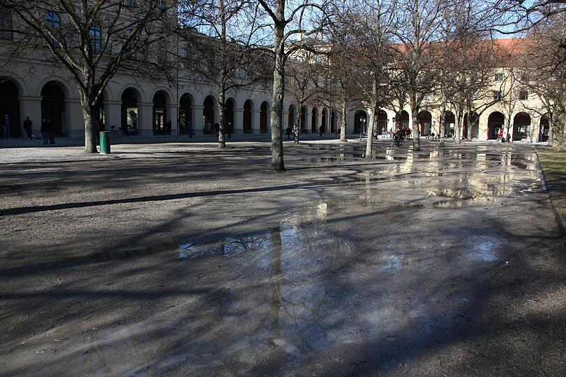 Es wird langsam wieder wärmer in München: Der Frühling liegt in der Luft. Die Bilder aus München