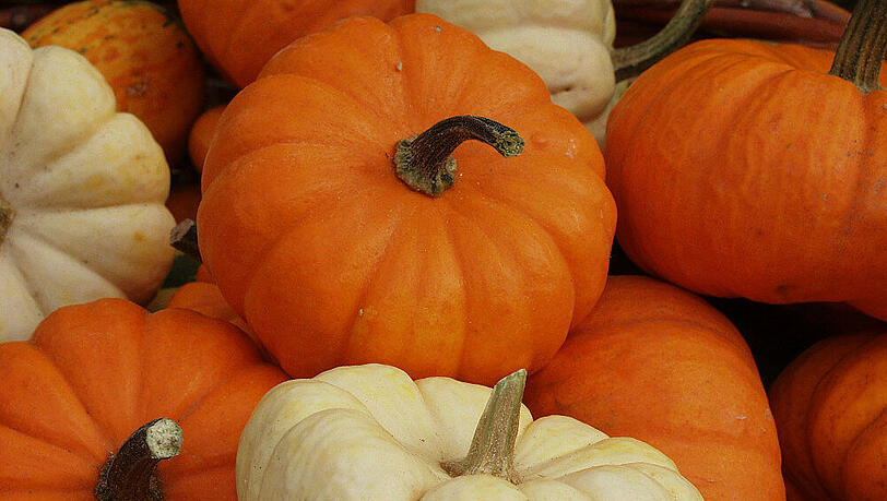 Kürbisse eignen sich nicht nur als Halloween-Deko, sie sind auch echte Beauty-Helfer Kürbisse eignen sich nicht nur als Halloween-Deko, sie sind auch echte Beauty-Helfer