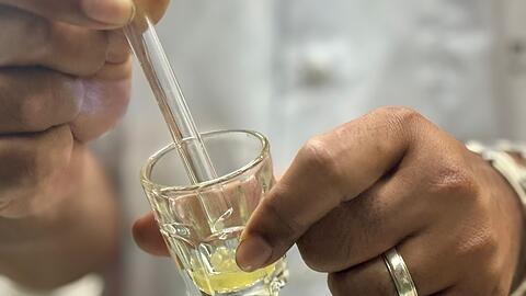 Das gef&auml;hrliche Gift ist gelblich und z&auml;h - und wichtig f&uuml;r die Produktion von Antiserum.